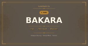 Bakara Suresi Okunuşu, Meali ve Anlamı