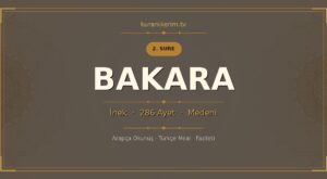 Bakara Suresi Okunuşu, Meali ve Anlamı