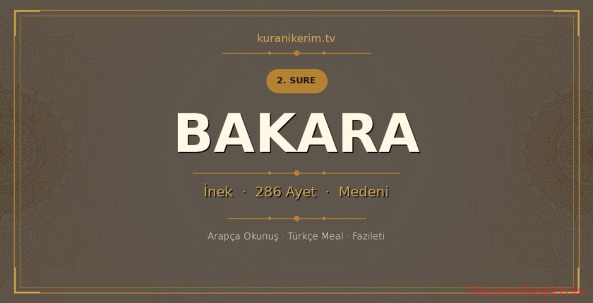 Bakara Suresi Okunuşu, Meali ve Anlamı