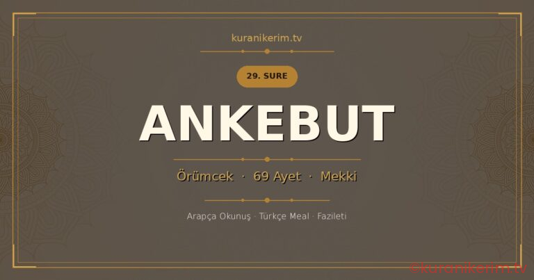 Ankebut Suresi Okunuşu, Meali ve Anlamı